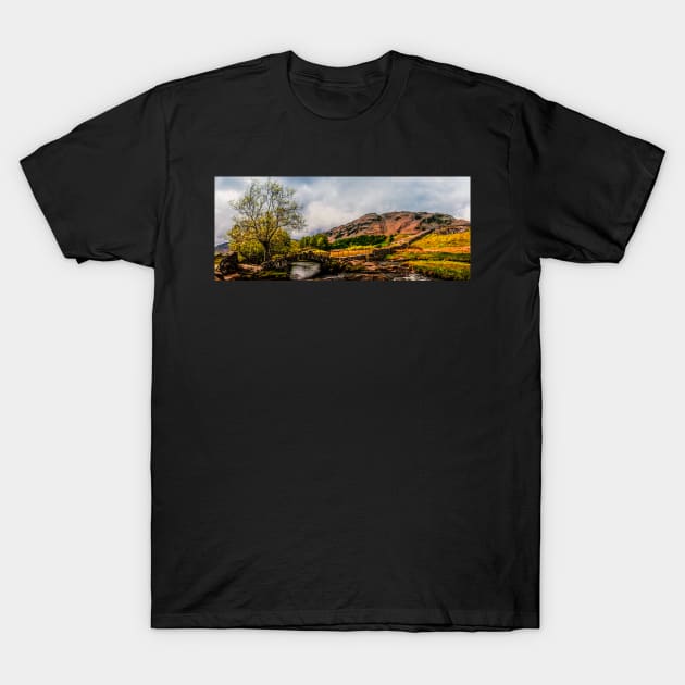 Slater Bridge Panorama T-Shirt by Reg-K-Atkinson